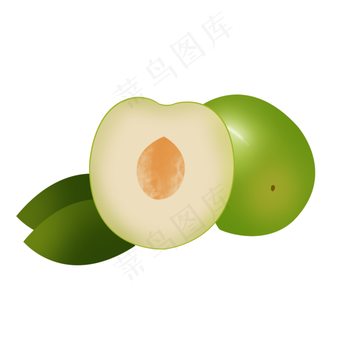 带叶精致大枣psd透明底