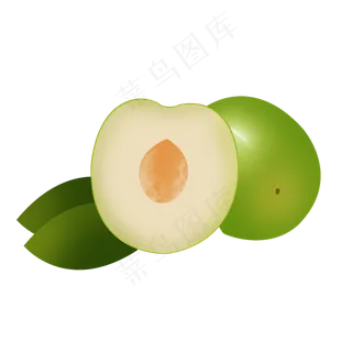 带叶精致大枣psd透明底