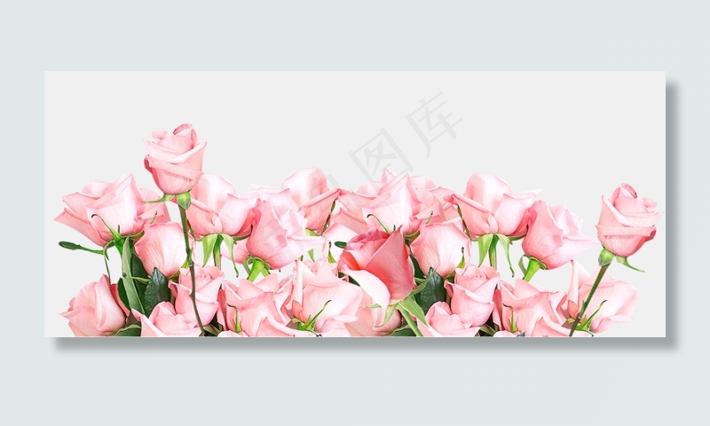 清新唯美粉色玫瑰花丛