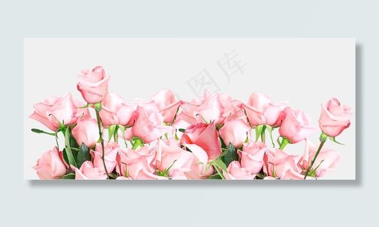 清新唯美粉色玫瑰花丛