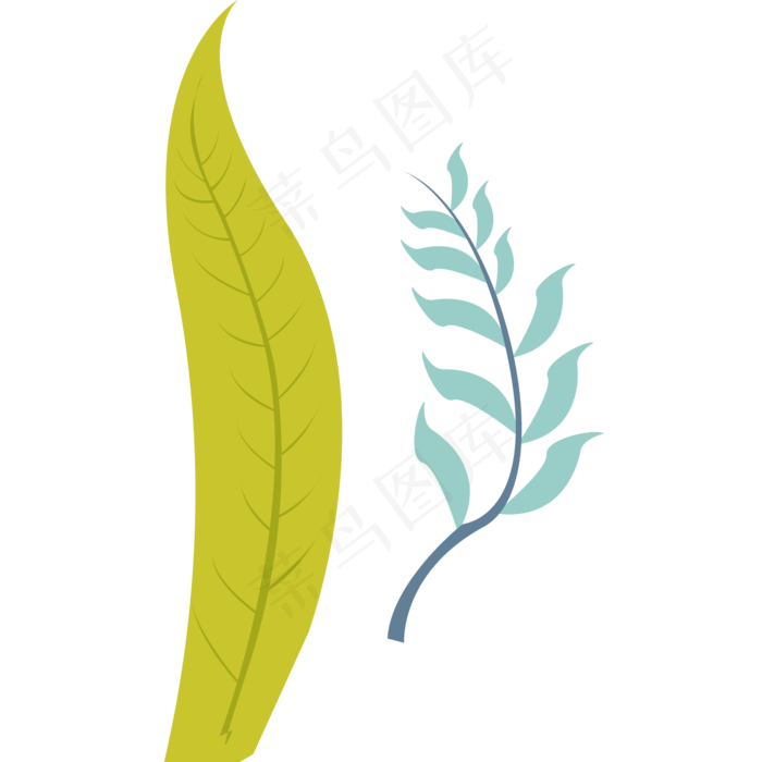 叶子绿色春季植物