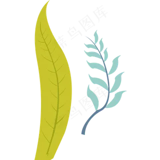 叶子绿色春季植物