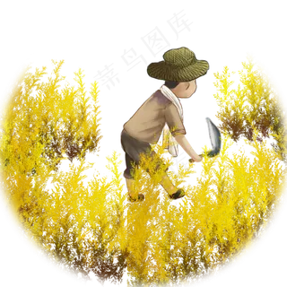 秋天秋季收稻谷弯腰收谷子的卡通