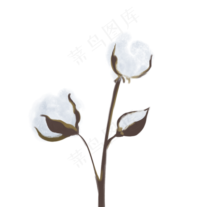 小满节气白棉花(3508X3508(DPI:300))psd模版下载
