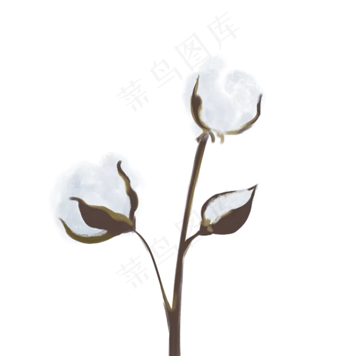 小满节气白棉花(3508X3508(DPI:300))psd模版下载