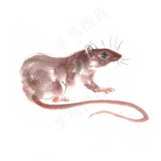 2020鼠年小老鼠,免抠元素