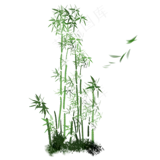 竹子,免抠元素