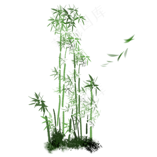 竹子,免抠元素