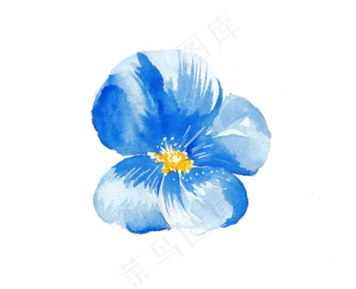 水彩手绘蓝色花朵png,免抠元素