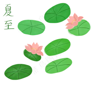 夏至节气荷花