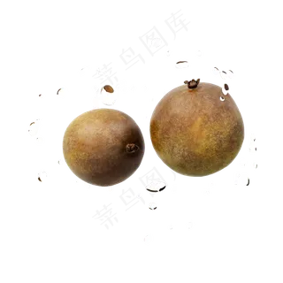 仿真桂圆png图