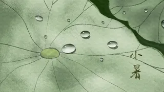 二十四节气之小暑