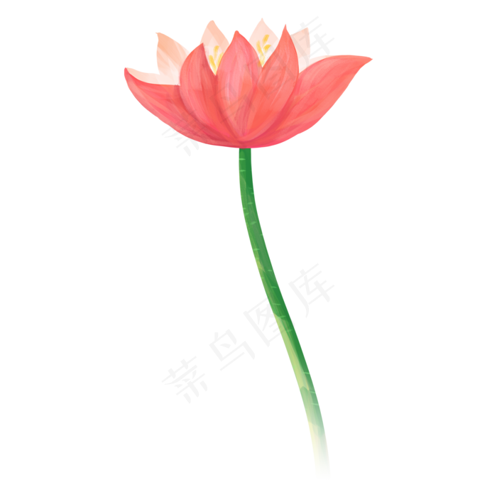 唯美夏天荷花(2000X2000)