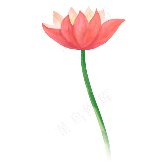 唯美夏天荷花(2000X2000)