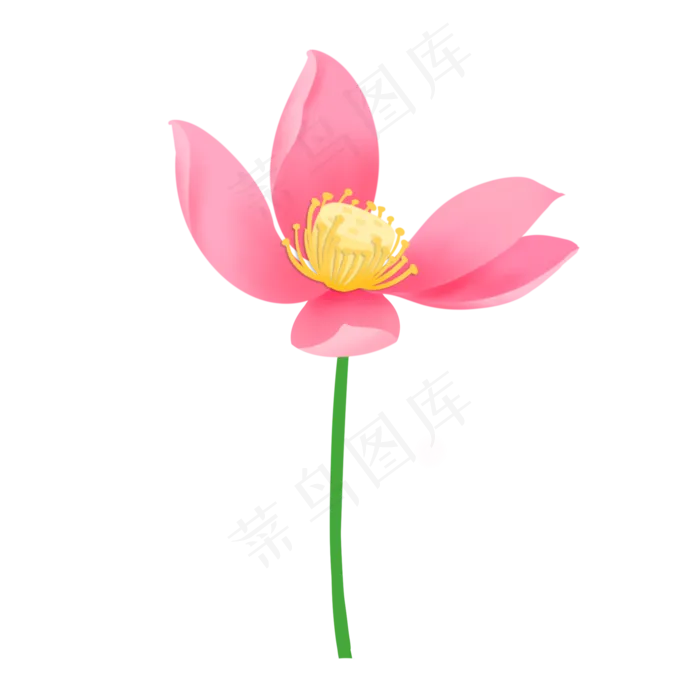 花瓣凋零粉色清新荷花(2000X2000(DPI:300))psd模版下载