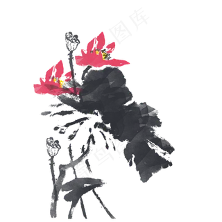 水墨植物手绘荷花水彩中国风