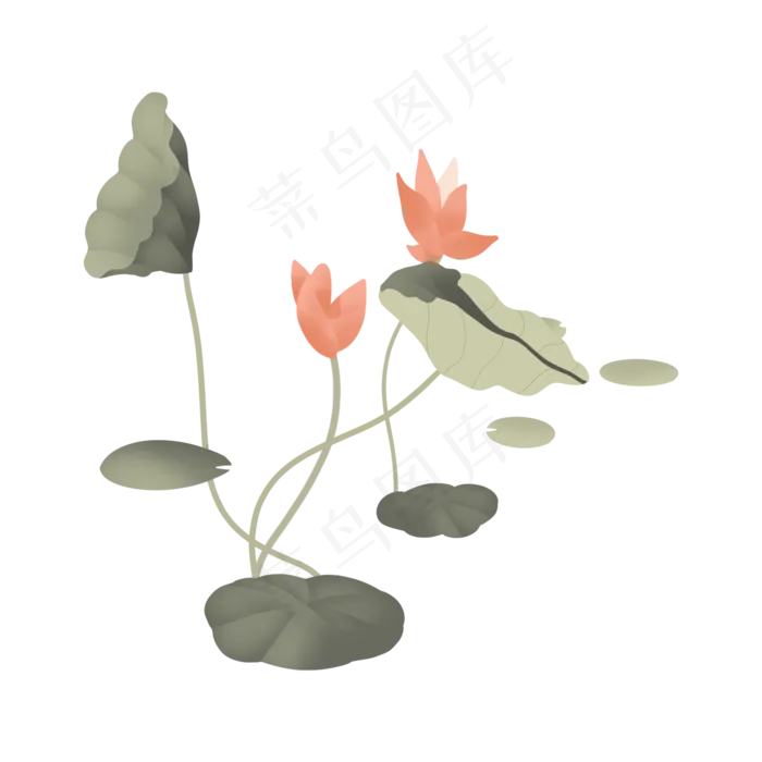 小暑大暑清凉夏天荷叶莲花(2000X2000(DPI:72))psd模版下载