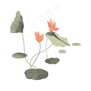 小暑大暑清凉夏天荷叶莲花