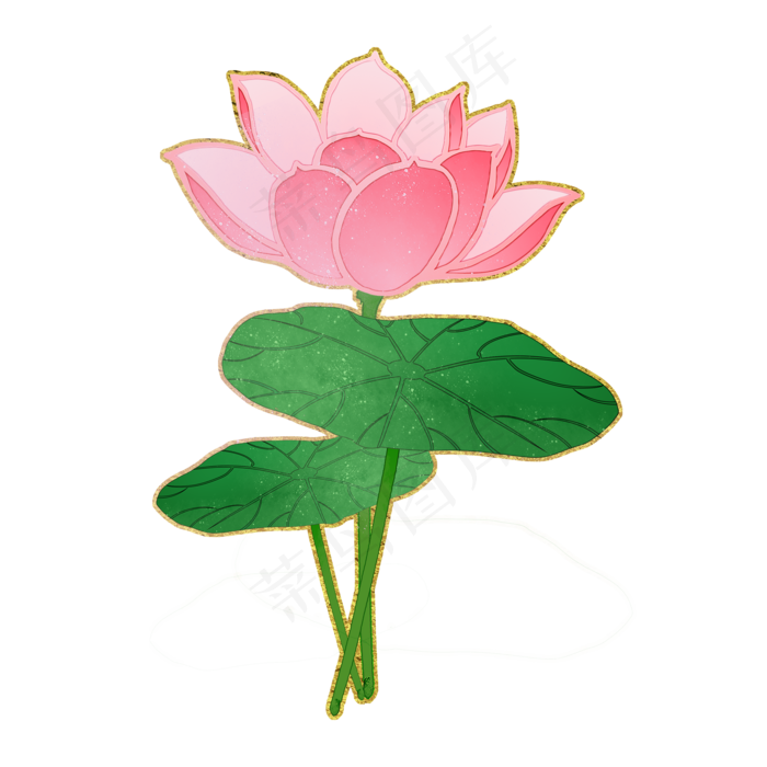 品红荷花中国风花卉PNG素材(2000X2000(DPI:300))psd模版下载