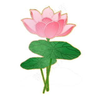 品红荷花中国风花卉PNG素材