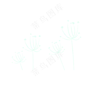 春天里的白色满天星花朵免抠图