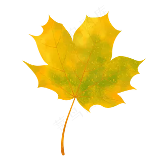 枫叶秋天创意秋叶手绘