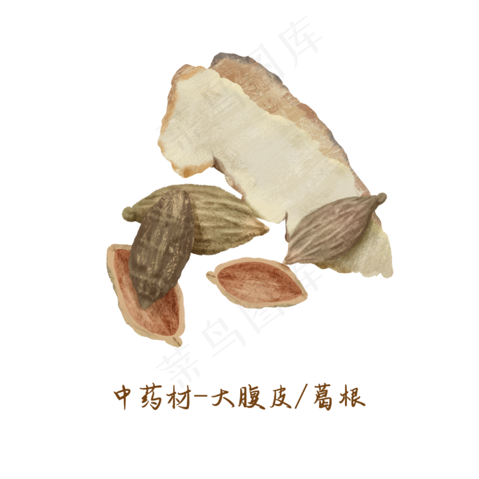 中医药材葛根大腹皮,免抠元素(3000*3000px 300 dpi )psd模版下载