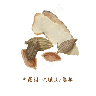 中医药材葛根大腹皮,免抠元素