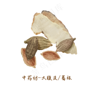 中医药材葛根大腹皮,免抠元素 中医药材葛根大腹皮,免抠元素