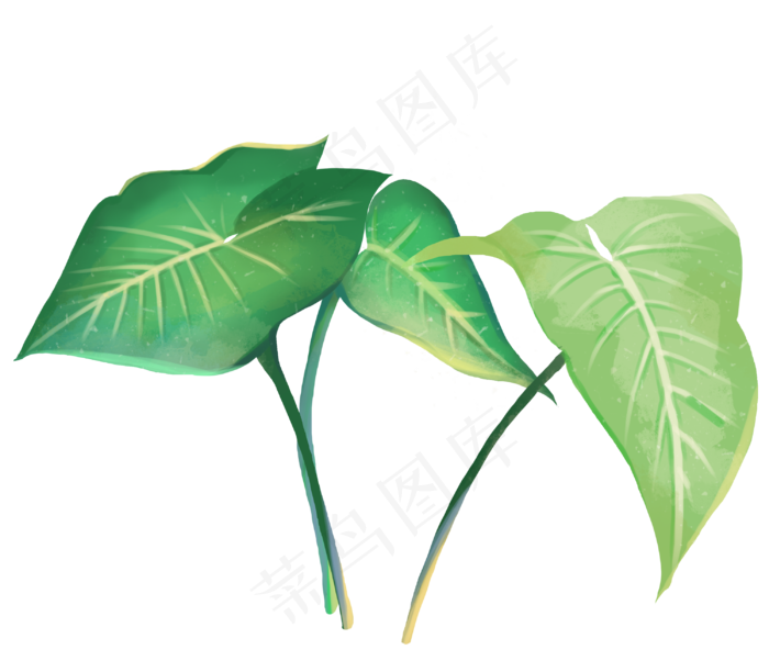 叶子热带植物(3000X2579(DPI:300))psd模版下载