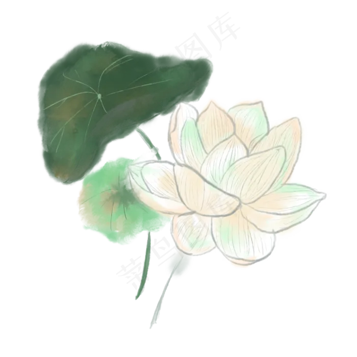 荷花白色免抠元素(3000X3000(DPI:132))psd模版下载