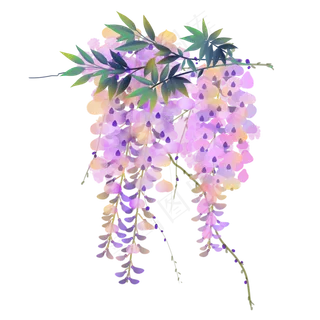 紫藤花树水彩风素材 紫藤花树水彩风素材