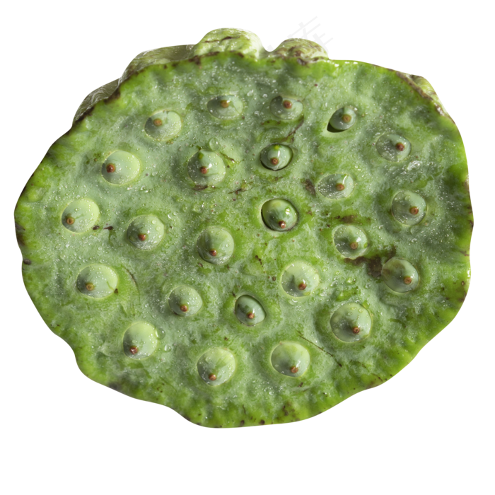 莲蓬美食实拍(2000X2000(DPI:300))psd模版下载