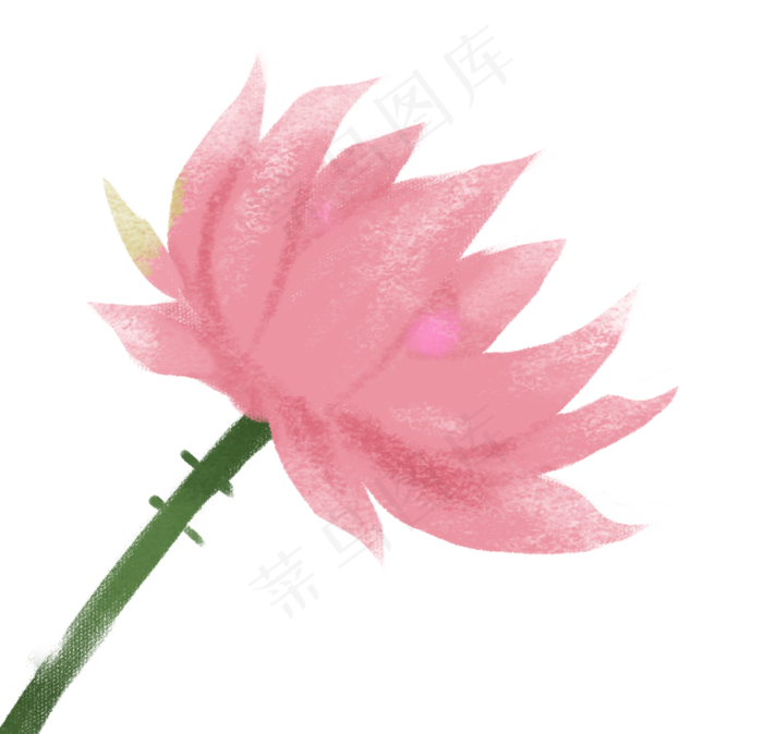 一朵荷花(1147X1105(DPI:300))psd模版下载