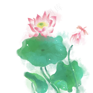 水墨水彩小清新荷花