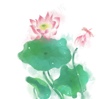 水墨水彩小清新荷花