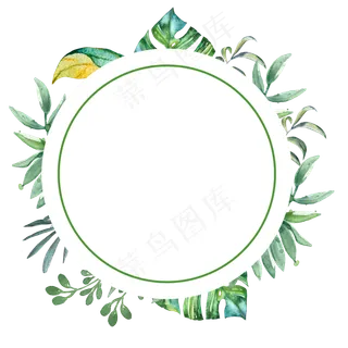 夏日清新手绘植物边框春天,免抠元素