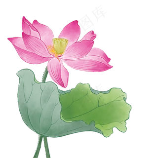 中国风荷花水彩画