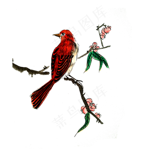 国画水墨花鸟红桃花雀鸟PNG工笔,免抠元素