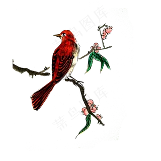 国画水墨花鸟红桃花雀鸟PNG工笔,免抠元素