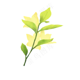 小清新水彩春天植物嫩芽花朵