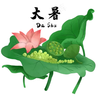 节气大暑池塘荷花莲子,免抠元素