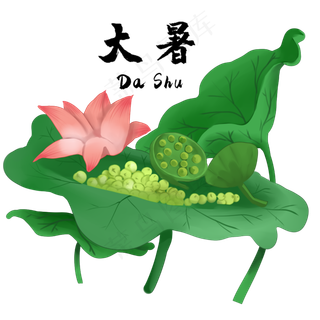 节气大暑池塘荷花莲子,免抠元素