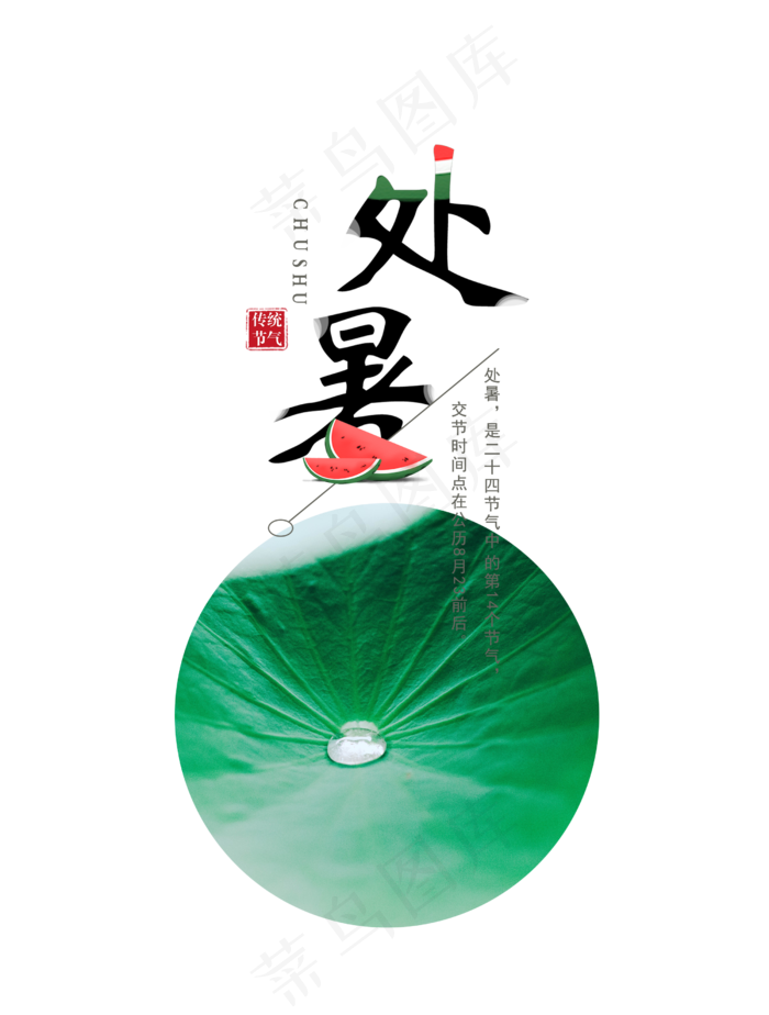 处暑节气荷叶