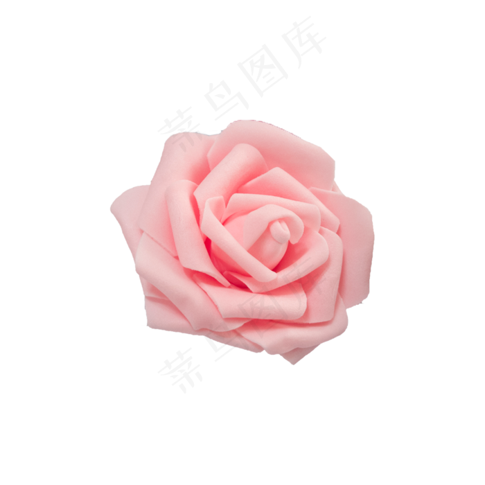 粉色花朵实拍免抠(2000*2000px 300 dpi )psd模版下载