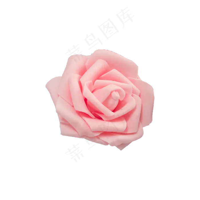 粉色花朵实拍免抠(2000*2000px 300 dpi )psd模版下载