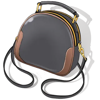 三八妇女节女神的深灰色单肩包