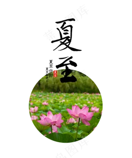 夏至节气莲花塘