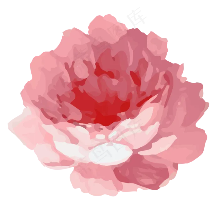 水彩风格粉色矢量玫瑰花(4299X5435(DPI:300))ai矢量模版下载