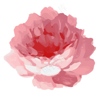 水彩风格粉色矢量玫瑰花